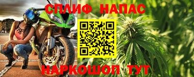 молекула духа Сланцы