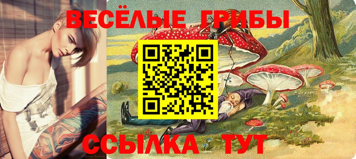 Сухой Лог  Псилоцибиновые грибы Magic Shrooms  Псилоцибиновые грибы мицелий  Вход с VPN 