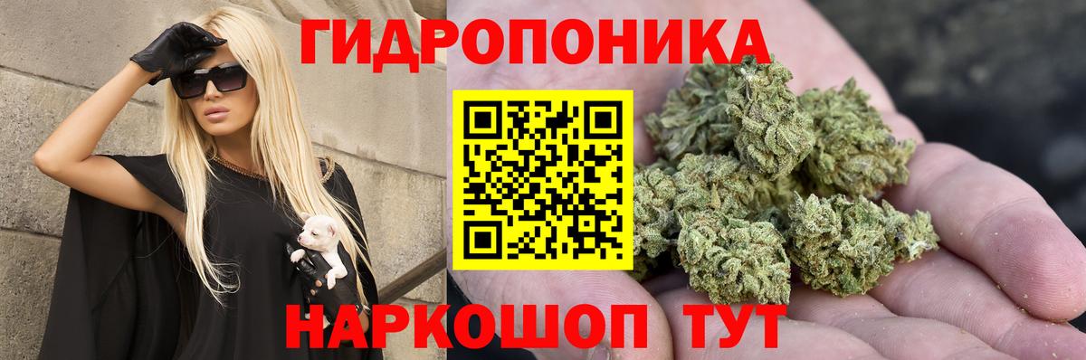 Шишки марихуана гибрид  Вход с VPN  Сухой Лог  Марихуана сатива  Шишки марихуана конопля 